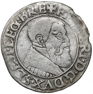 Silesia, Frederick II, Penny 1543, Legnica
