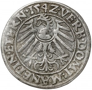 Silesia, Frederick II, 1542 penny, Legnica
