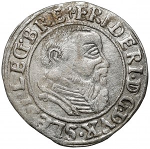 Silesia, Frederick II, 1544 penny, Legnica