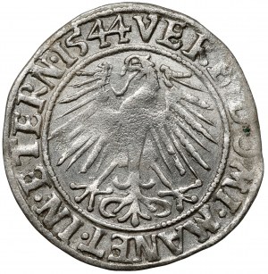 Schlesien, Friedrich II., Pfennig 1544, Legnica