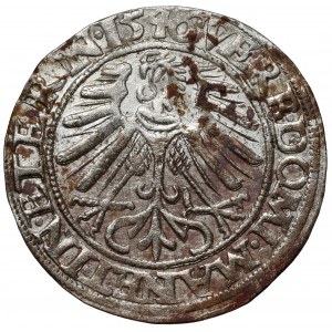 Śląsk, Fryderyk II, Grosz 1546, Legnica