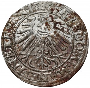 Silesia, Frederick II, Penny 1546, Legnica - RARE year