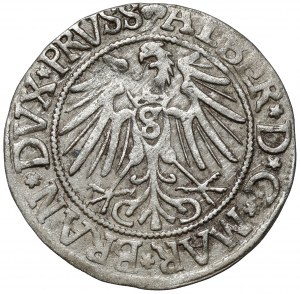 Prussia, Albert Hohenzollern, Grosz Königsberg 1542