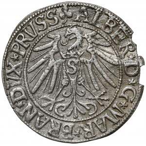 Prusy, Albert Hohenzollern, Grosz Królewiec 1543