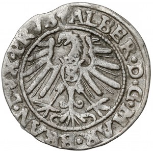 Prusy, Albert Hohenzollern, Grosz Królewiec 1546