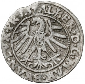 Prussia, Albert Hohenzollern, Grosz Königsberg 1546