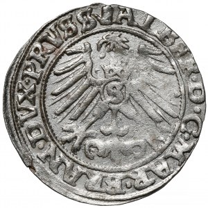 Prusse, Albert Hohenzollern, Grosz Königsberg 1558 - très rare