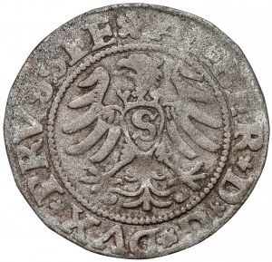 Prusse, Albrecht Hohenzollern, Königsberg 1530