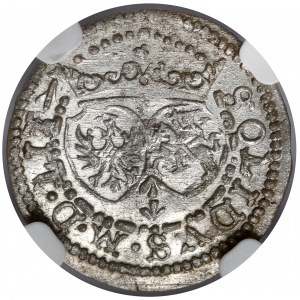 Sigismund III Vasa, Vilnius 1617 Shelrogue - PO M D - rare