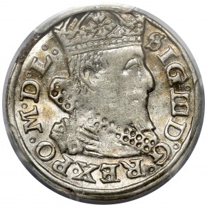 Sigismund III Vasa, Vilnius 1626 - minted penny
