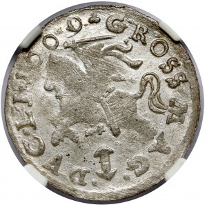 Sigismund III Vasa, Vilnius 1609 - minted penny