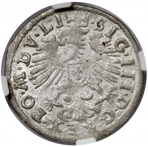 Sigismund III Vasa, Vilnius 1609 - minted penny