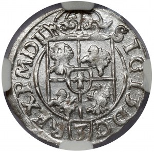 Sigismund III Vasa, Half-track Bydgoszcz 1616 - BEAUTIFUL