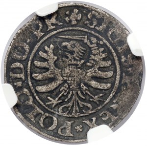 Sigismund I the Old, Elblag 1530