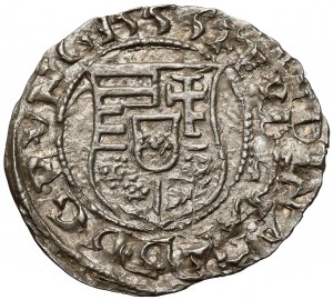Węgry, Ferdynand I, Denar 1556 (?) KB, Kremnica
