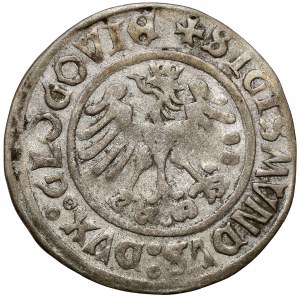 Sigismund I the Old, Głogów penny 1506 - dated