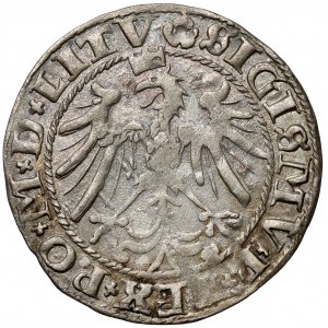 Zygmunt I Stary, Grosz Wilno 1536