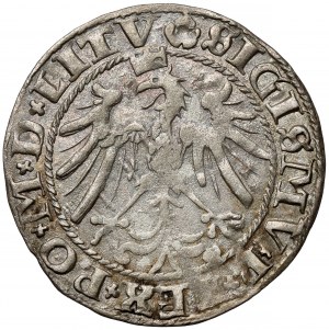 Sigismund I. der Alte, Wilnaer Pfennig 1536 - Brief I - Juni