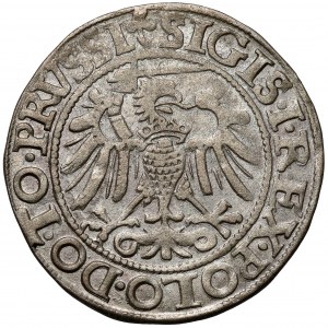 Sigismund I. der Alte, Pfennig Elbląg 1540 - zuletzt