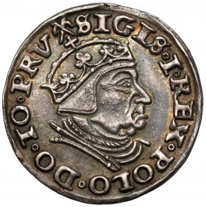 Sigismund I. der Alte, Trojak Danzig 1539