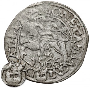 Sigismond II Auguste, Tykocin 1566 demi-penny - PETIT Jastrzębiec - très rare