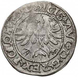 Sigismond II Auguste, Tykocin 1566 demi-penny - PETIT Jastrzębiec - très rare