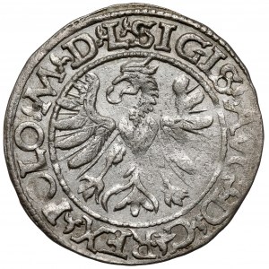 Sigismond II Auguste, Tykocin 1566 demi-grosz - Jastrzębiec - belle