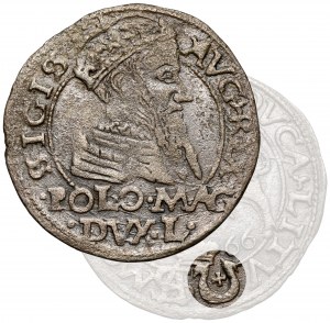 Sigismund II Augustus, Grosz per Polish foot 1566, Tykocin - JASTRZĘBIEC