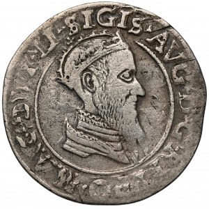 Zygmunt II August, Czworak Wilno 1569 - ex. Czapski junior