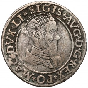 Zygmunt II August, Czworak Wilno 1568 - ex. Czapski junior