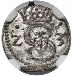 Sigismund III Vasa, Lobezhenica denarius 1623 - decorative shields