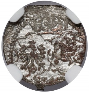 Sigismund III Vasa, Lobezhenica denarius 1623 - decorative shields