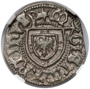 Ordre Teutonique, Martin Truchsess, Coquille - trifoliée