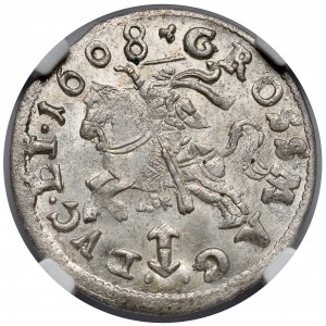 Sigismund III Vasa, Vilnius 1608 penny - specimen