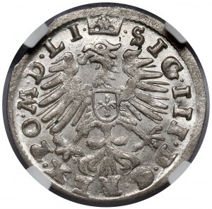 Sigismund III Vasa, Vilnius 1608 penny - specimen