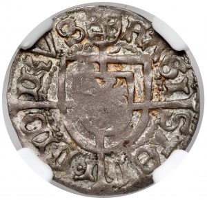 Deutscher Orden, Friedrich von Sachsen, Pfennig - selten