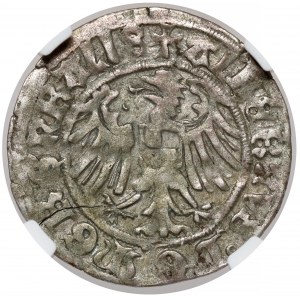 Prusy, Albrecht Hohenzollern, Grosz Królewiec 1516