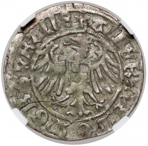 Teutonic Order, Albrecht Hohenzollern, Grosz Königsberg 1516 - B.RZADKI