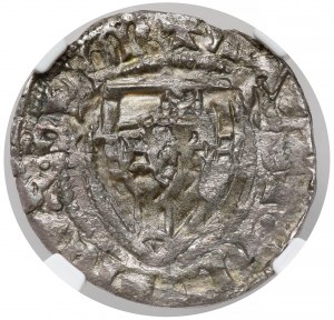 Deutscher Orden, Heinrich I. von Plauen, die Shelburne