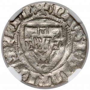 Deutscher Orden, Heinrich I. von Plauen, die Shelburne