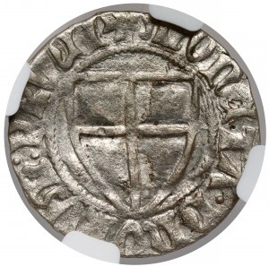 Teutonic Order, Henry I von Plauen, the Shelburst