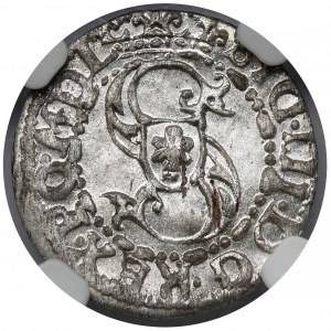 Sigismund III Vasa, Riga 1618 - SCHÖN