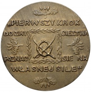 Medal 100. rocznica śmierci Tadeusza Kościuszki 1917, Wiedeń