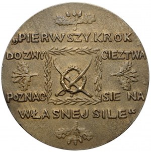 Medaille zum 100. Todestag von Tadeusz Kościuszko 1917, Wien