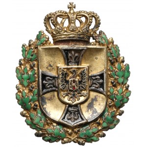 Austria, Monarchia, Aplikacja Zakonu Krzyżackiego (XIXw.)