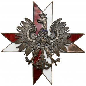 PSZnZ, 1 Pułk Ułanów Krechowieckich