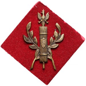 School insignia? - Fasces with an eagle, with a shield with the letter S