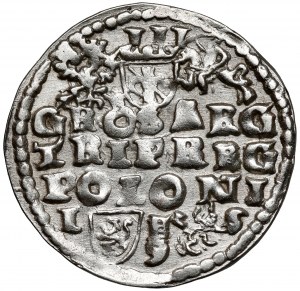 Sigismund III Vasa, Troika Lublin 1596
