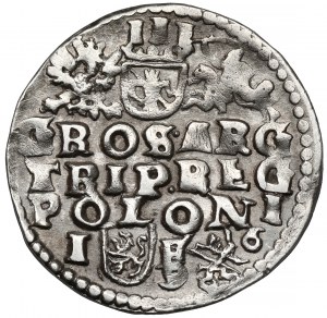 Sigismondo III Vasa, Trojak Lublino 1596