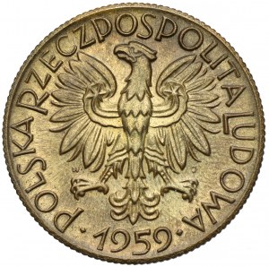 Sampled brass 5 gold 1959 Rybak